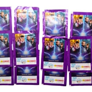 Herry Potter Conad 2024 12 bustine sigillate Momenti Magici foto principale lotto