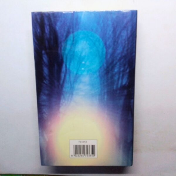 Libro romanzo la morte non dimentica mystic river dennis lehane copertina retro
