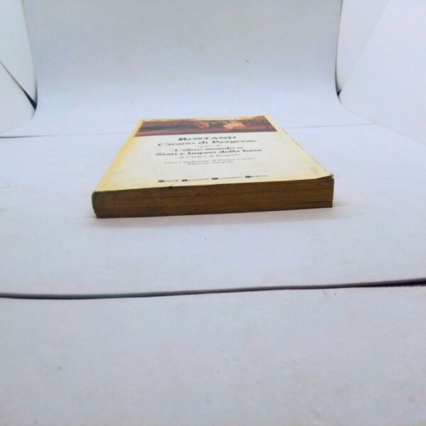 Libro Cirano de Bergerac romanzo di Edmond Rostad wdizione Newton 2002 lato inferiore