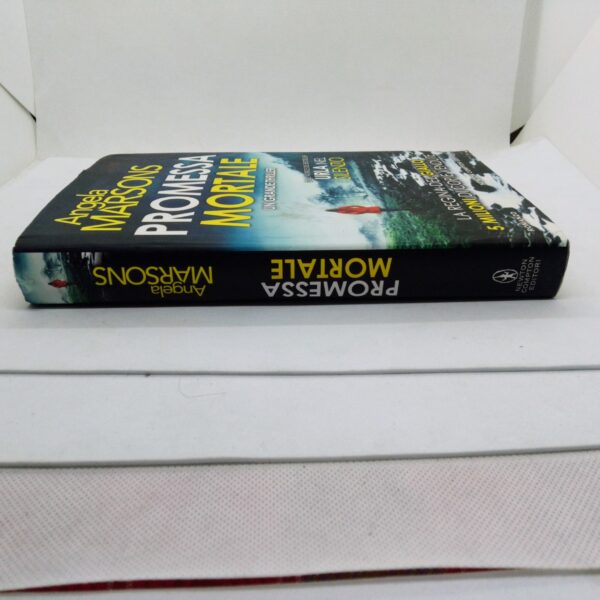 Libro Promessa mortale romanzo di Angela Marsons 2023 lato sinistro ( costa)
