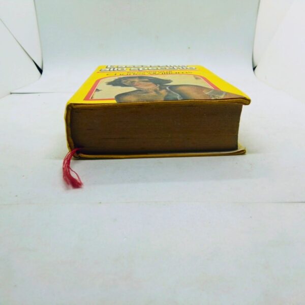 L assassino allo specchio charles williams 1980 libro romanzo lato inferiore
