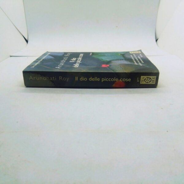 Romanzo il dio delle piccole cose 2004 lato sinistro costa